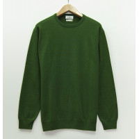 Джемпер мужской / унисекс TRI&CO CASHMERE, круглый вырез, 100% шерсть ягненка, сделано в Италии, ID: M152-1515/40502/green